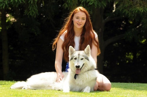 Sophie Turner and her direwolf