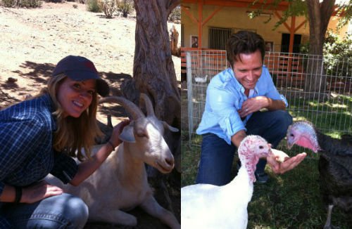 Meatless Mondays: Seamus and Juliana Dever’s Animal Loving Ways