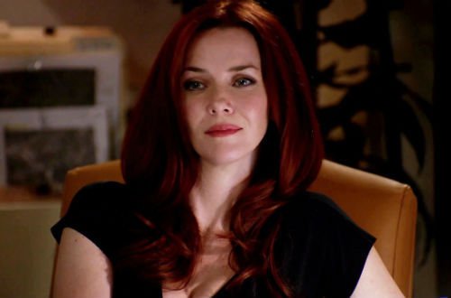 The Many Faces of Annie Wersching