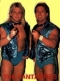 The Fantastics