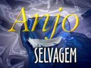 Anjo Selvagem