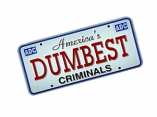 America's Dumbest Criminals