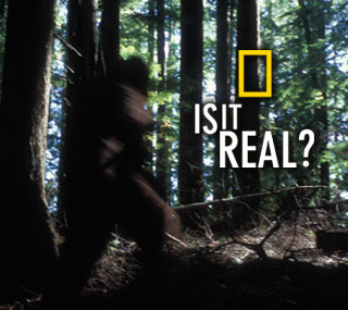 Is it Real?