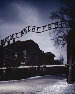 Auschwitz: The Nazis and the "Final Solution"