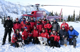 Avalanche Dogs