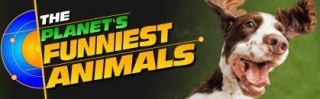 All New Planet's Funniest Animals