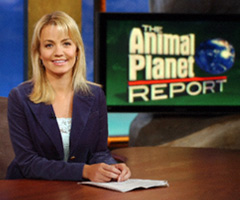 Animal Planet Report