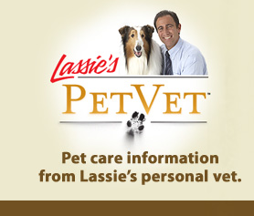 Lassie's Pet Vet