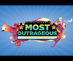 Animal Planet's Most Outrageous