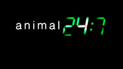 Animal 24:7