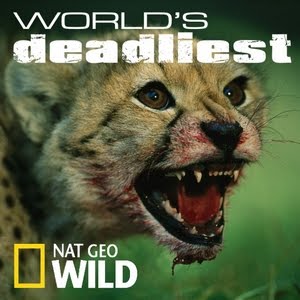 World's Deadliest