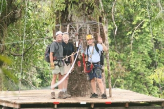 Life in the Canopy