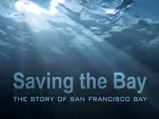 Saving the Bay