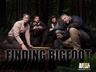 Finding Bigfoot