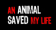 An Animal Saved My Life