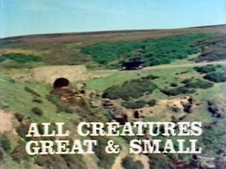 All Creatures Great and Small