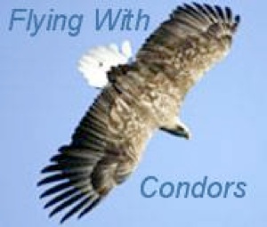 Flying with Condors