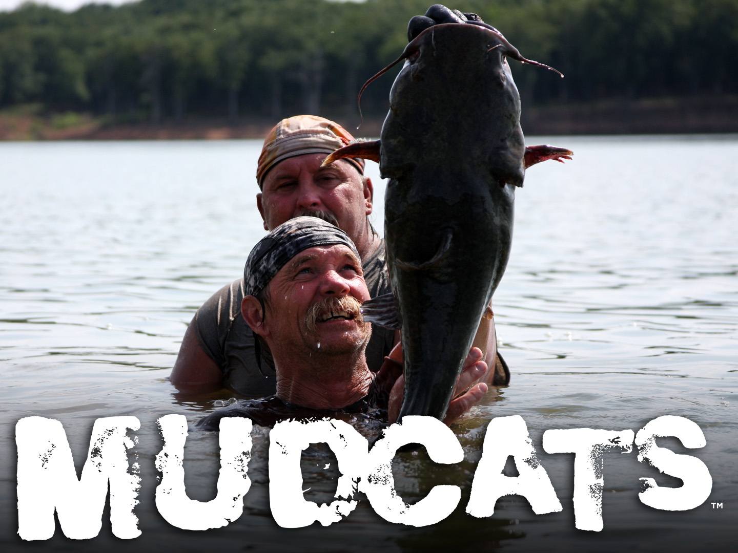 Mudcats