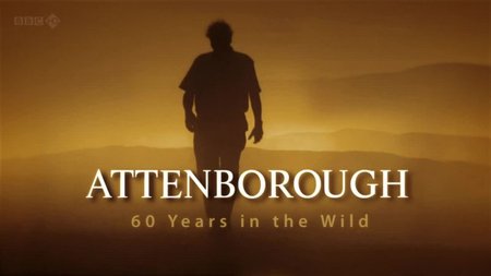 Attenborough: 60 Years In The Wild