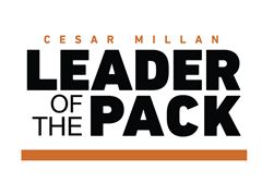 Cesar Millan's Leader of the Pack
