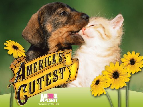 America's Cutest Pet