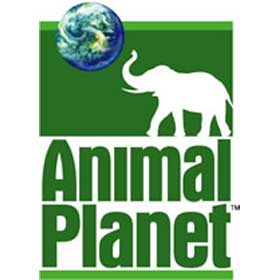 Animal Planet Specials