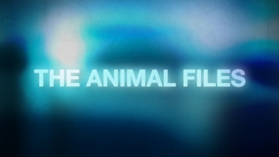 The Animal Files