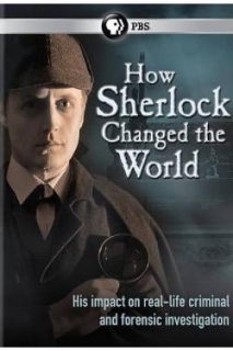 How Sherlock changed the World