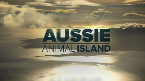 Aussie Animal Island