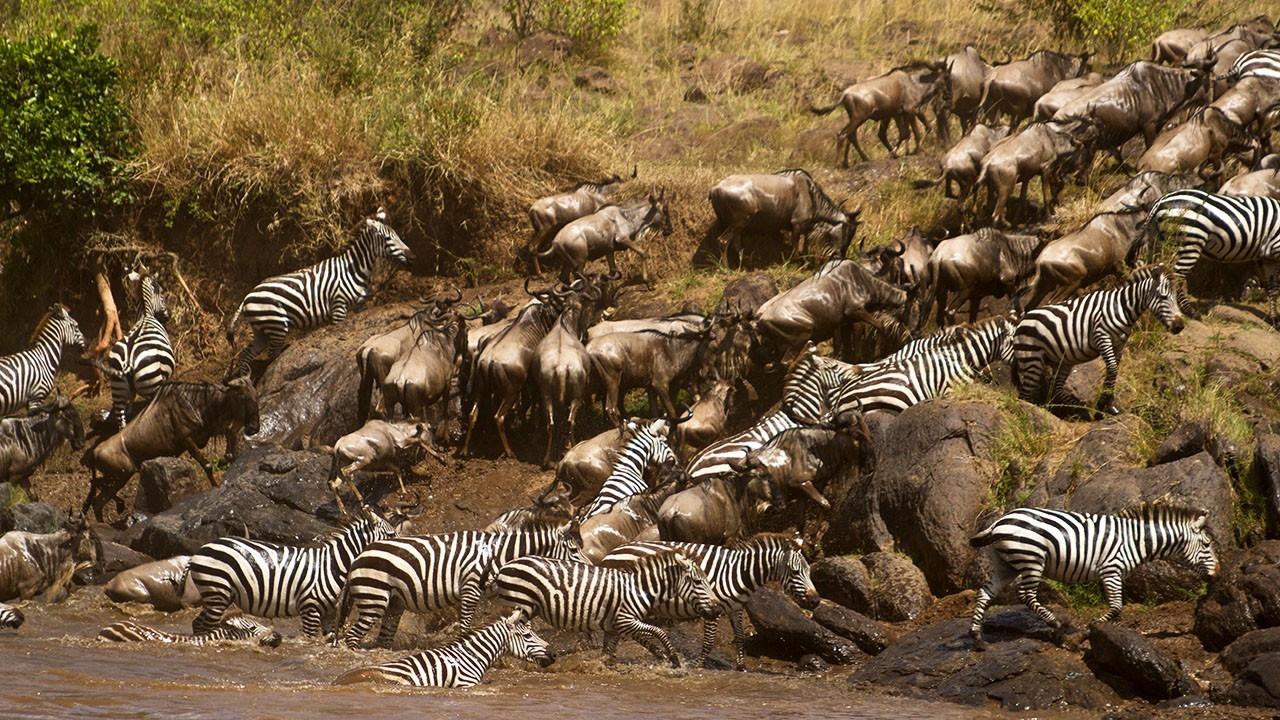 Africa's Blood River