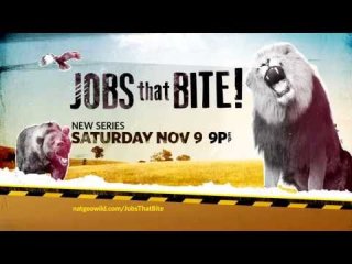 Jobs That Bite!