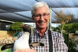 Paul O’Grady’s Animal Orphans
