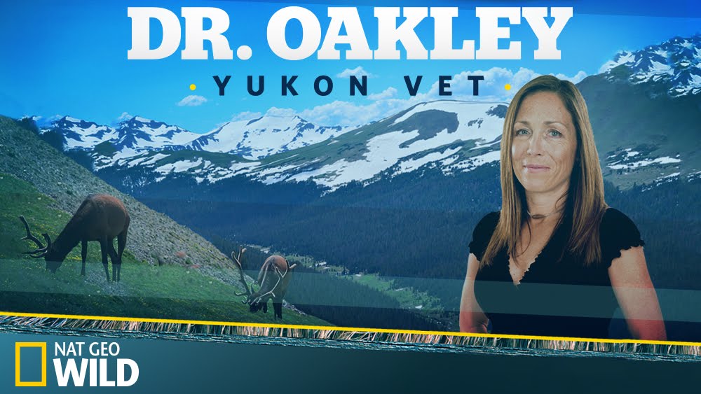 Dr. Oakley, Yukon Vet