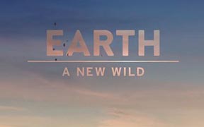 Earth: A New Wild