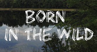 Born in the Wild