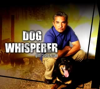 The Dog Whisperer