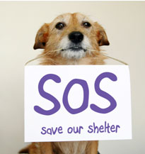 Save Our Shelter