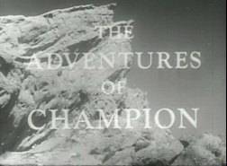 The Adventures of Champion