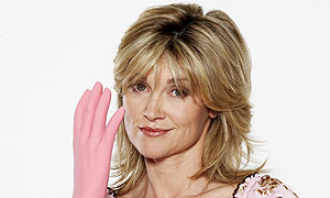 Anthea Turner: Perfect Housewife