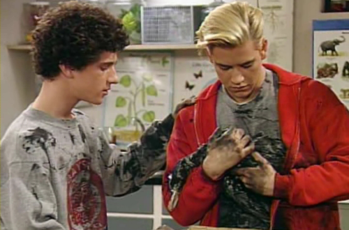 Happy Earth Day: What ‘90s TV Taught Us About Keeping the Planet Clean