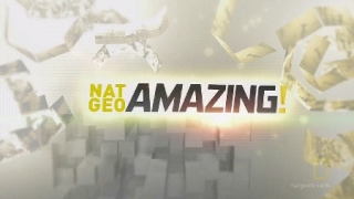 Nat Geo Amazing