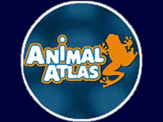 Animal Atlas