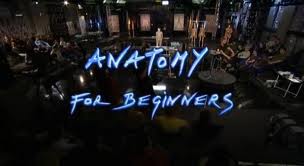 Anatomy for Beginners