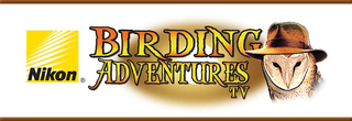 Birding Adventures