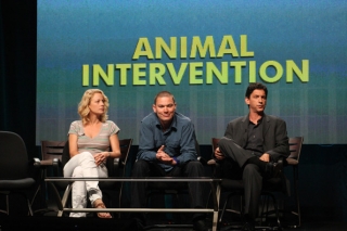 Animal Intervention