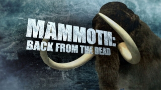 Mammoth: Back from the Dead