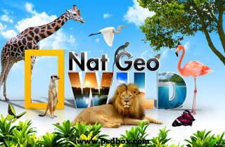 National Geographic Wild Specials
