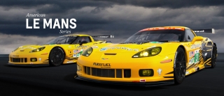American Le Mans Series Racing