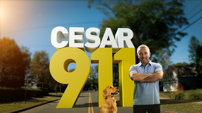 Cesar 911